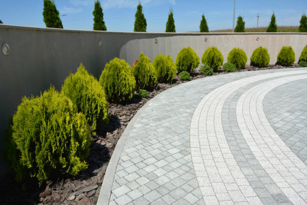 Best Driveway Paver Sealing  in Belding, MI