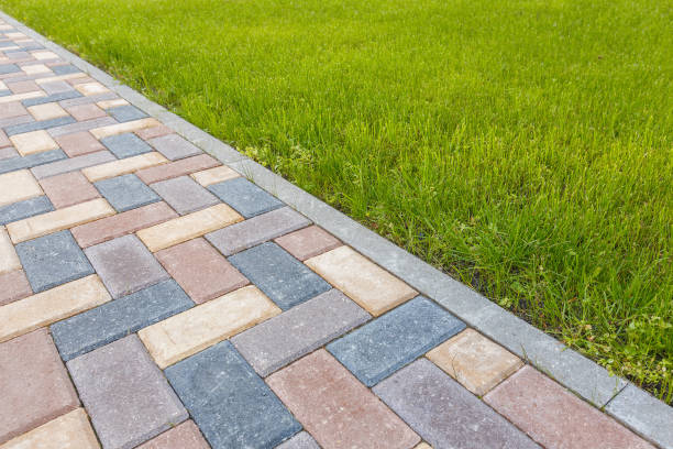 Best Driveway Paving Contractor  in Belding, MI